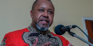 Gjenden mbetjet e avionit të rrëzuar, konfirmohet vdekja e zv.presidentit të vendit afrikan