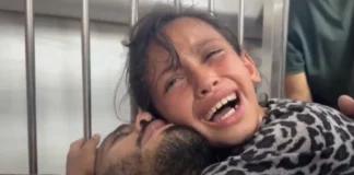 VIDEO prekëse! Mes lotëve e të bërtiturave vajza puth babanë e torturuar në burgjet izraelite