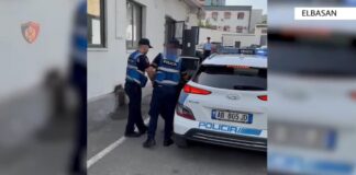 Me armë zjarri kallashnikov, granata, kapsolla detonatore dhe municion luftarak, vihet në pranga 56-vjeçari