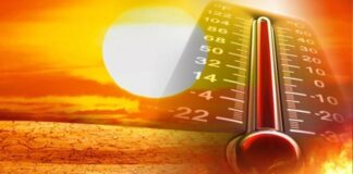 I nxehti afrikan! Sot moti me temperatura ekstreme, ja sa gradë celsius pritet të arrijë sot