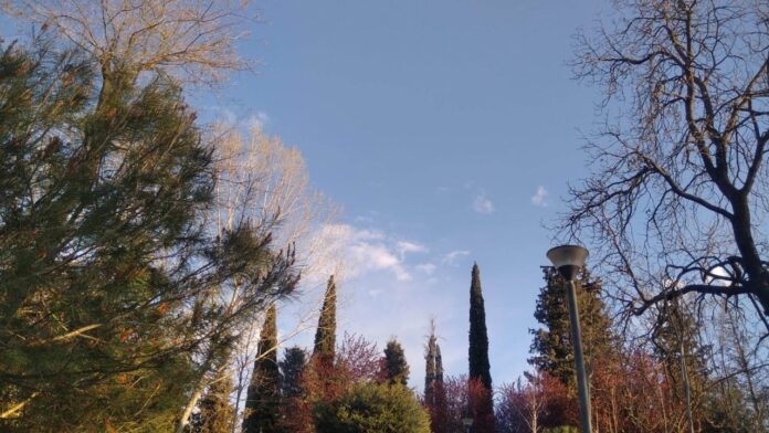 452486156_901194198671963_4468425156188049537_n_sd