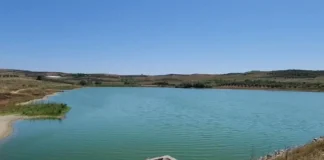 I nxehti “vret” peshqit, mbi 5 ton ngordhin në rezervuarin e Petovës në Fier! Rrezik epidemie