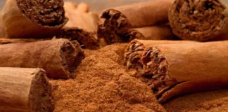 Si të keni lëkurë dhe flokë të shëndetshëm, ja trajtimet bio që mund të bëni në shtëpi