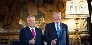 “Do arrijmë paqen”, Orban takohet me Trumpin pas samitit të NATO-s, shqetësohen aleatët e Budapestit