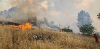 14 vatra zjarri në 24 orë, Ministria e Mbrojtjes: Vetëm tre janë aktive, po punohet për shuarjen e flakëve