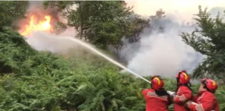 Vijon zjarri në Delvinë, disa vatra aktive në fshatin Kakodhiq