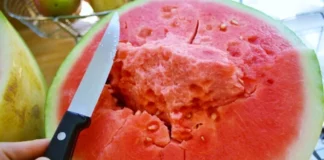 Zemra e shalqinit/ Pse është më e ëmbël dhe me më shumë shije, zbuloni shpjegimin shkencor