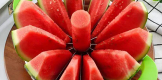 Zbuloni disa arsye të forta pse duhet të hani shalqi çdo ditë