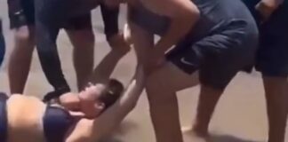 Video/ Terror në Teksas dhe Florida, peshkaqenët sulmojnë disa pushues