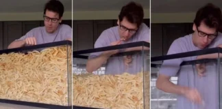 E pazakontë! I riu ha 100 kg patate të skuqura për 9 orë! Një sfidë TikTok-u mjaft e rrezikshme