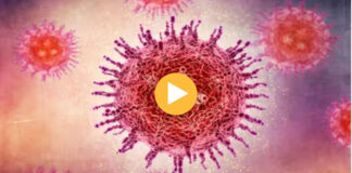 Shfaqet virusi i ri vdekjeprurës që po alarmon globin! OBSH organizon takimin urgjent, ja simptomat