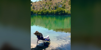 Turistët zgjedhin Bunën, kryeministri Rama ndan pamjet e lumit në Shkodër: Parajsa e fshehur