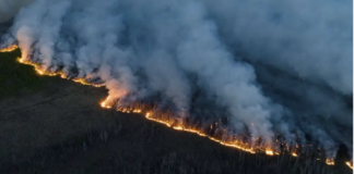 Zjarret që morën përmasa të mëdha në Mallakastër dhe Tropojë, procedohen dy persona që dyshohet që i ndezën