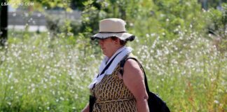 Gushti nis me temperatura të larta, parashikimi i motit për këtë të enjte