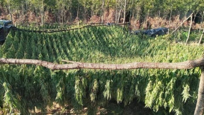 0-2024-09-28T080922.541