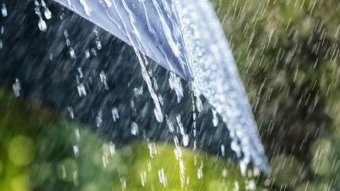 459306601_933649672093082_3191699729406011052_n_sd