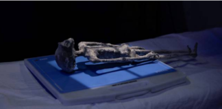 Disqe fluturues, njerëz të vegjël jeshilë…? Amerikanët janë të pavendosur për alienët (fotot)