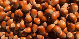 4 Arsye Të Rëndësishme Përse Duhet T’i Konsumoni Rregullisht