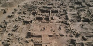 “Vendi ku sakrifikoheshin fëmijët për të qetësuar perënditë”, arkeologët zbulojnë varrezën 600-vjeçare në Peru