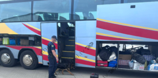 Angli-Shqipëri, operacioni “Marewood” kap kokainë armë dhe para të krimit të organizuar