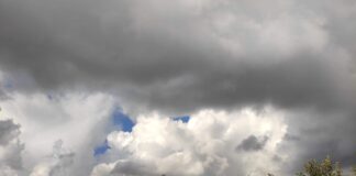 Parashikimi i motit sot/ Shi dhe mjegull, si pritet të jenë temperaturat