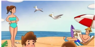 Të gjithë mund të shkojnë familjarët në plazh, por një gaforre e fshehur mund të kërcënojë zbavitjen e ditës së bukur (fotot)