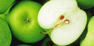 Mollët e Korçës! Më shumë prodhim këtë vit, por fermerët ankohen për çmimet e ulëta: Është rritur kostoja e krahut të punës