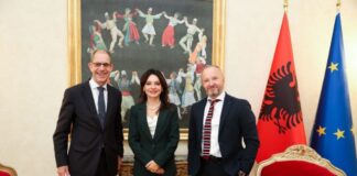 Spiropali: Demokracia brenda partive politike, kusht për një Parlament të shëndetshëm