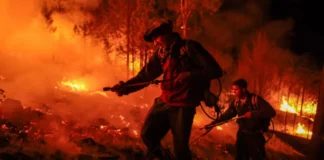 “Jeta e Tokës është në rrezik”/ Shkencëtarët tregojnë zbulimet e fundit, ja shenjat vitale që rrezikojnë planetin