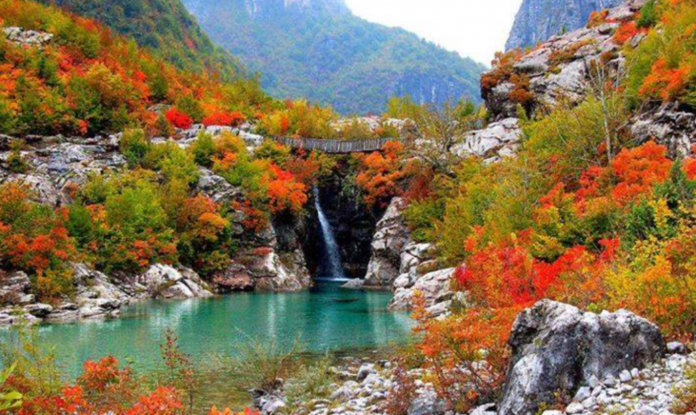 Screenshot-2024-10-25-083339