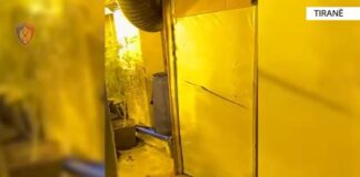 “Laborator” droge në Tiranë, 7 të arrestuar dhe disa të proceduar! Si e zbuloi policia aktivitetin kriminal në katin e dytë të godinës së vjetër