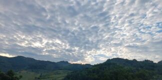 Parashikimi i motit/ Diell dhe kthjellime, temperaturat prekin vlerat 27 gradë C