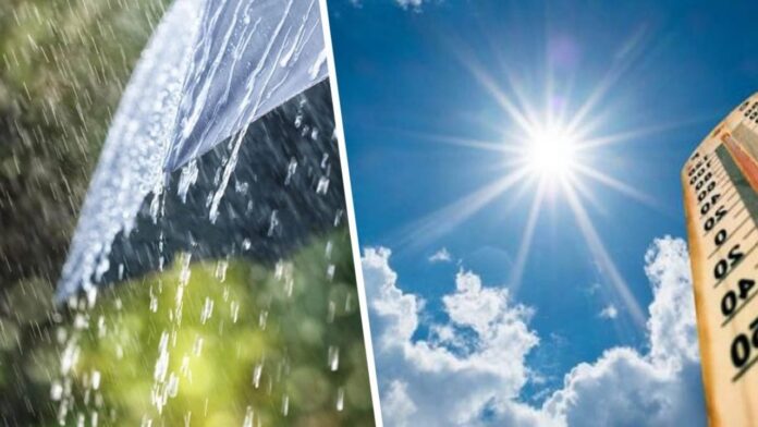 moti-e1662111017243_sd