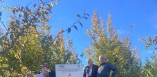 AIDSSH shënjon dy vendvarrime të dyshuara në zonën e Gramshit