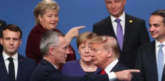 Analiza: Frika e NATO-s nga kthimi i Trump dhe shpresat tek Harris