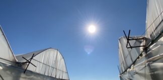 Nëntori dëmton serat në Lushnjë, fermerët shikojnë rritje të dëmtuesve të perimeve të mbjella