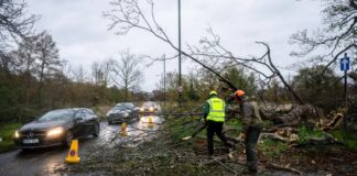 Stuhia “Bert” godet rëndë Mbretërinë e Bashkuar/ Konfirmohet viktima e parë, pema bie dhe i merr jetën të moshuarit