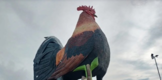 Ndërtesa në formë pule më e madhe në botë, është gjithashtu hotel në ishullin turistik (fotot)