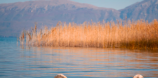 Rama: Magjia e vjeshtës i shton nurin qytetit të Lasgushit