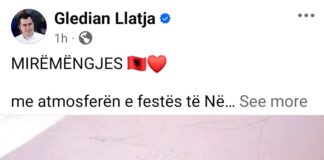 Llatja ndan pamje nga atmosfera e festës të Nëntorit në Kopshtin nr. 9