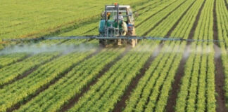 Projektbuxheti 2025 mbështet 8 programe në sektorin e bujqësisë dhe zhvillimit rural