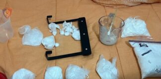 Laboratori i drogës në Fushë Krujë, dhjetëra ton kokainë të fshehura në 850 lëkura kafshësh/ Të akuzuarit pritet të dalin sot para gjykatës, kush janë ‘kokat’ e grupit kriminal