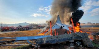 VIDEO/ Avioni në Korenë e Jugut doli nga pista dhe u përplas me murin duke shpërthyer në flakë, konfirmohen të paktën 124 të vdekur