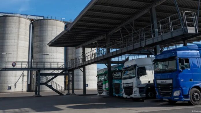 66588312_1004_sd (1)