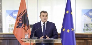 Sejko: Në 2024 u rritën të ardhurat dhe punësimi, 2025-a pritet të jetë po ashtu pozitive