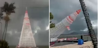 Video dramatike/ Shembet papritur pema gjigante e Krishtlindjeve teksa punonjësit ishin poshtë saj (fotot)