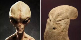 Arkeologët zbulojnë ‘kokën e alienit’ afro 7,000 vjeçare në Gadishullin Arabik (fotot)