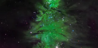 Pema e Krishtlindjes në hapësirë/ Pamja mahnitëse e yjeve 5 milionë vjeçarë në Rrugën e Qumështit