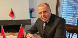 Shqipëria mbetet pa ambasador në Zvicër, Mustafa Nano jep dorëheqjen