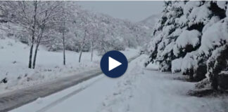 Dhjetëra fshatra pa energji elektrike në qarkun e Korçës! Reshjet e dendura të dëborës bllokojnë aksin Qafë Qarri-Ersekë